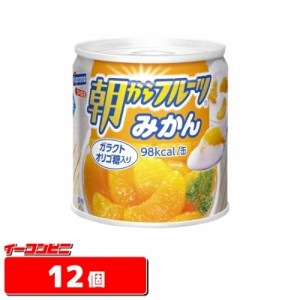 はごろも　朝からフルーツみかん　190g　缶詰　12個