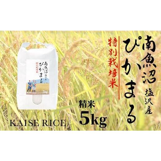 ふるさと納税 新潟県 南魚沼市 南魚沼塩沢産ぴかまる（特別栽培米）精米５ｋｇ×全１２回