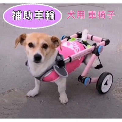 大型犬車イス総額16万円以上　犬用車椅子　介護用品 Walkin Wheels