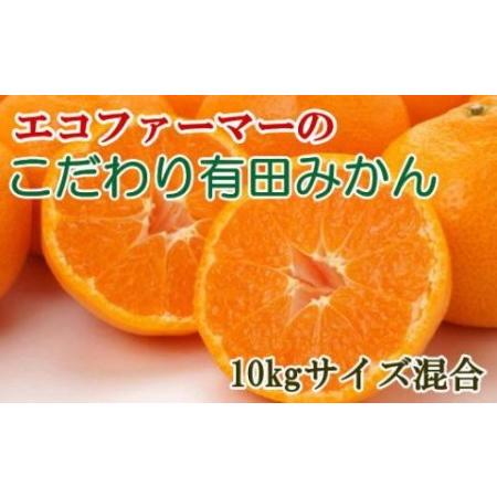 ふるさと納税 エコファーマーのこだわり有田みかん10kg(サイズ混合) ★2023年11月中旬頃より順次発送 和歌山県有田川町