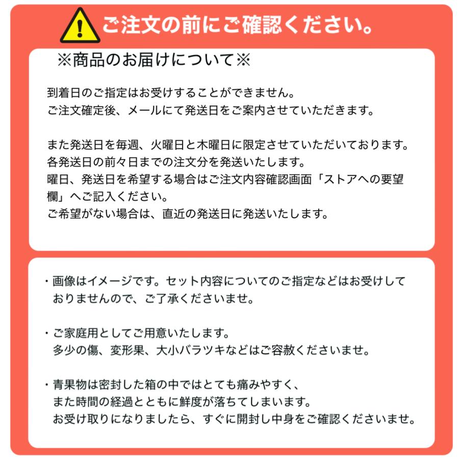 季節のお野菜・果物セット 中