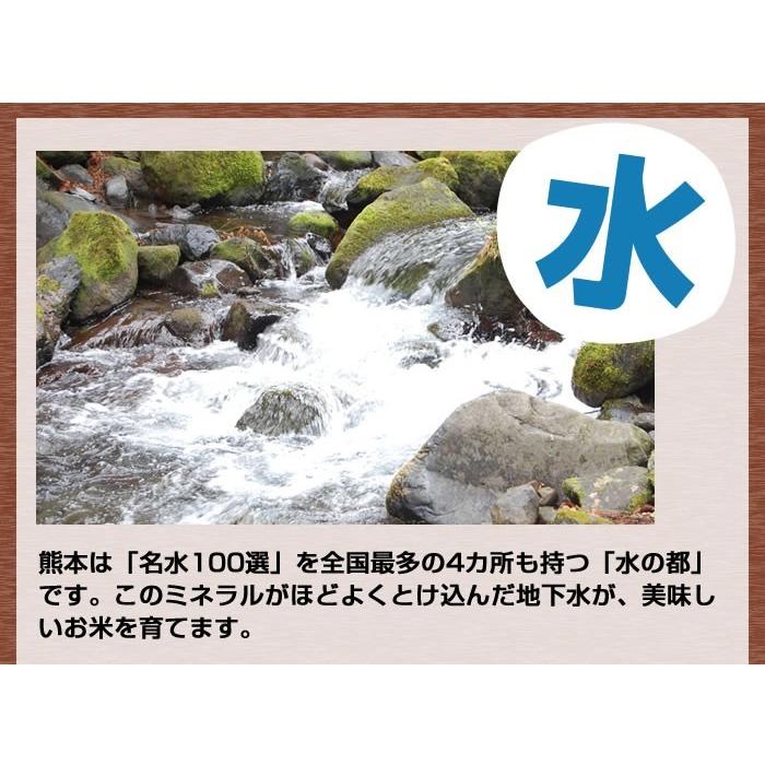 米 送料無料 森のくまさん 令和5年産 熊本県産 玄米30kg