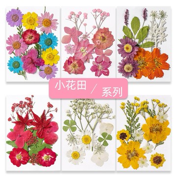 小花田系列 花包組合 真花壓花 永生花 森林系 少女寫真 壁畫 DIY水晶滴膠 乾燥花 植物標本