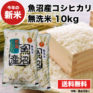 新米 魚沼産コシヒカリ 無洗米 10kg 米 お米 新潟県 こしひかり 訳あり 2等米