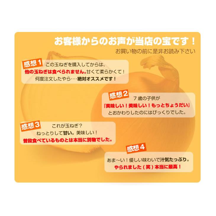 淡路島プレミアム玉ねぎ9kg●送料無料●タマネギ たまねぎ 淡路島たまねぎ 淡路玉ねぎ 淡路島玉ねぎ 玉葱 玉ネギ　南あわじ　あわじ