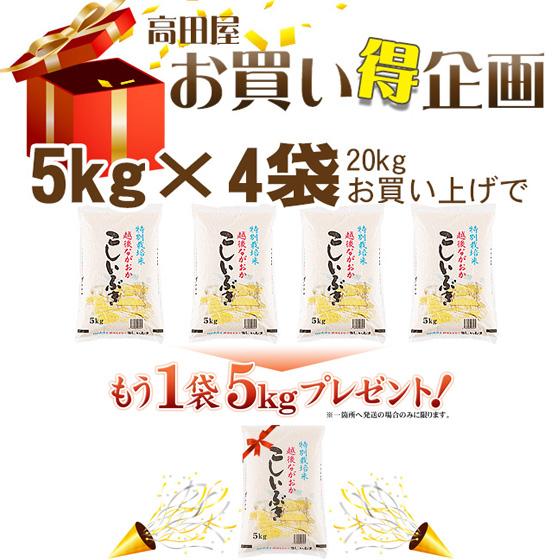 令和５年産　お米　5kg　白米　特別栽培米新潟県産こしいぶき5kg×1袋　送料無料（一部地域を除く）