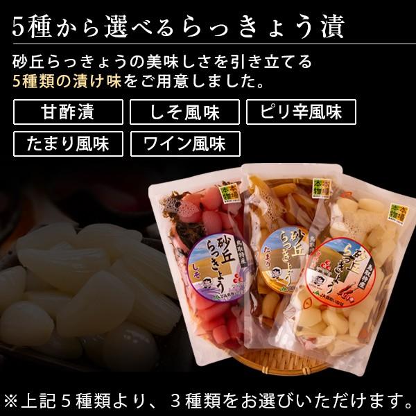 砂丘らっきょう漬け 鳥取県福部町産 選べる3パックセット 無添加 国産 送料無料（北海道・沖縄を除く）