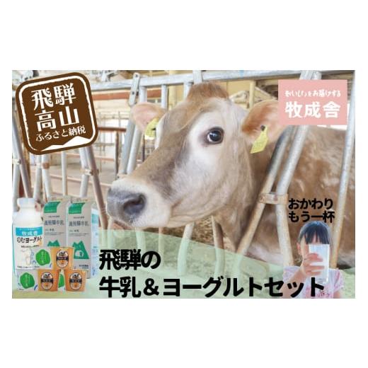 ふるさと納税 岐阜県 高山市 ＜牧成舎＞こだわり 牛乳 ＆ ヨーグルト 4種セット  飲むヨーグルト  生乳 乳製品 自社牧場 低温殺菌 生クリーム 飛騨 詰め合わせ…