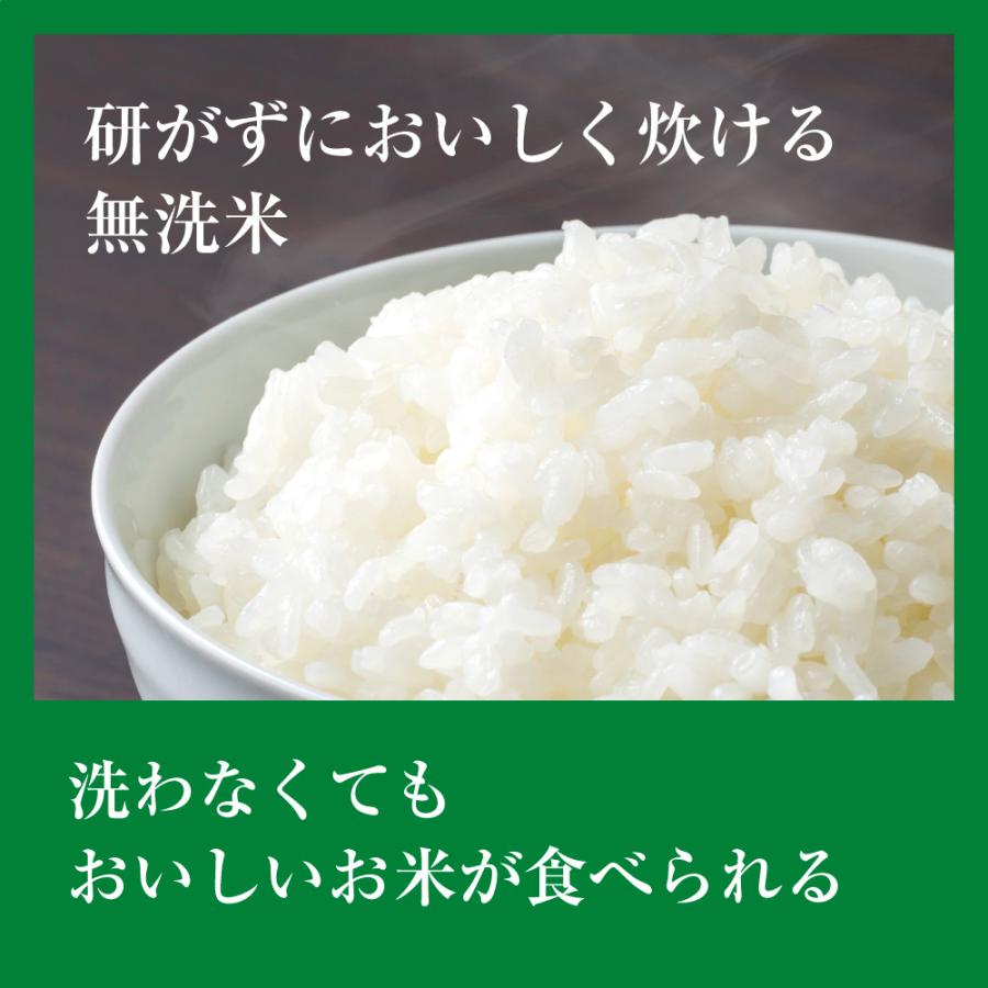 お米 ごはん白米 無洗米 5kg 5キロ 新潟県産 コシヒカリ こしひかり 令和5年産