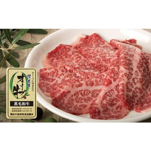 ふるさと納税 香川県 坂出市 牛肉 オリーブ牛 モモスライス 500g（500g×1）