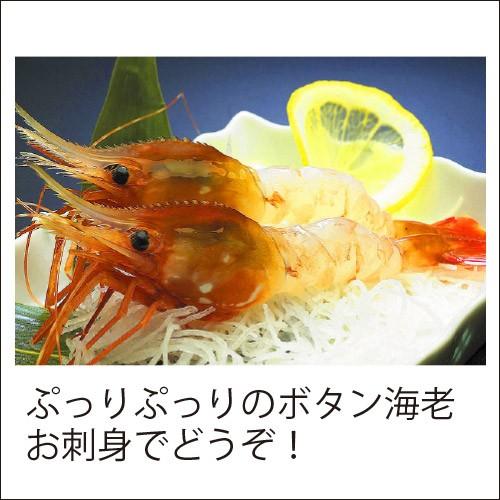 お刺身用 ぼたん海老 500g ボタンエビ 海老 エビ 急速冷凍 刺身