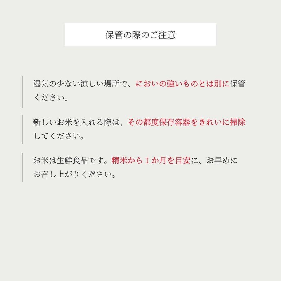 雪若丸 30kg 新米 送料無料 お米 コメ 山形県産 令和5年産 精米 玄米 無洗米