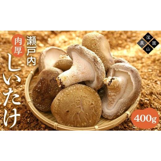 ふるさと納税 兵庫県 相生市 瀬戸内しいたけ 400g