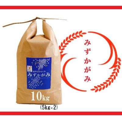 ふるさと納税 竜王町 令和5年産　近江米