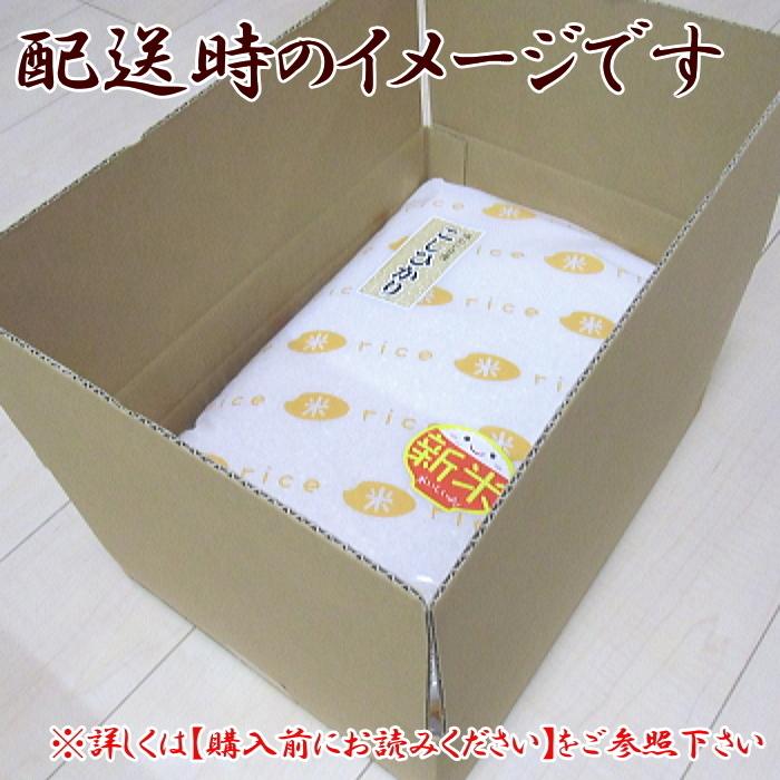 令和５年 五つ星お米マイスター お米 送料無料 コシヒカリ 玄米 10kg 三重県産 あすつく  安い 美味しい