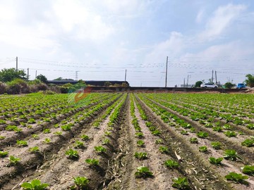 三崁低於行情一般農地｜18噸大貨車可到｜台中市外埔區三崁段
