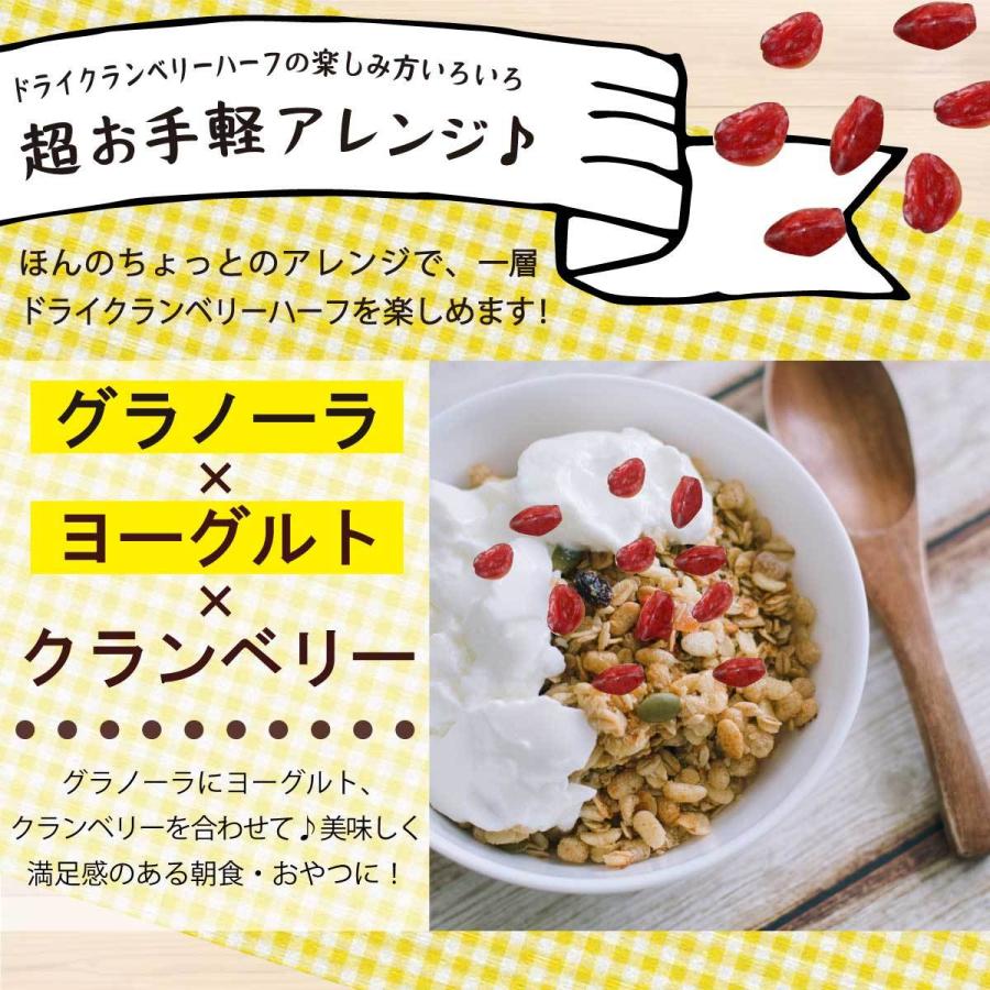 友口 魅惑のドライクランベリーハーフ 800g アメリカ産 ドライフルーツ 天然サプリ 無添加 送料無料 ポリフェノール ビタミンC 食物繊維