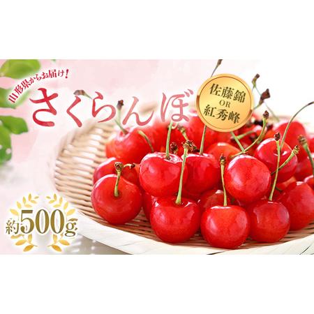 ふるさと納税  さくらんぼ 「佐藤錦または紅秀峰」 約500g (秀 L以上) バラ詰め《令和6年6月中旬〜発送》 『南陽中央青果.. 山形県南陽市