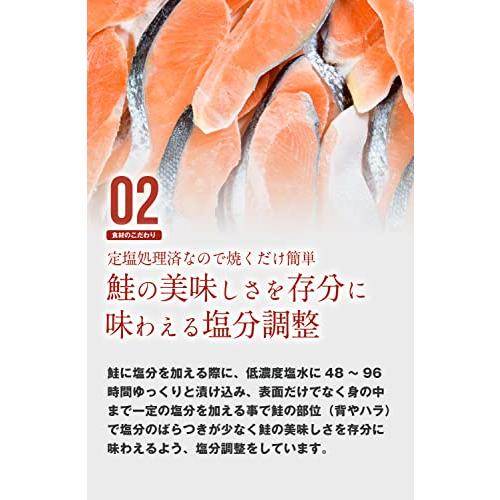 銀鮭 切り身 1.2kg (50g×24切れ) 骨有り 有塩 サケ さけ 鮭 切り身