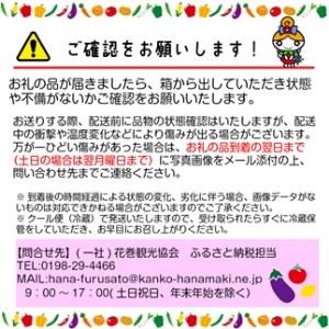  イーハトーヴ野菜C  もりもりセット  12～15品  詰め合わせ 　予約受付2024年3月から発送開始