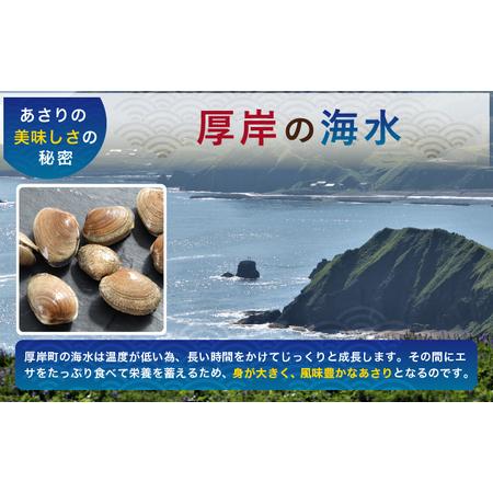 ふるさと納税 砂出し済み！ 北海道 厚岸産 北海あさり 2kgお届け (500g×4パック)  (各回2kg×3ヶ月分,合計約6kg)  北海道厚岸町