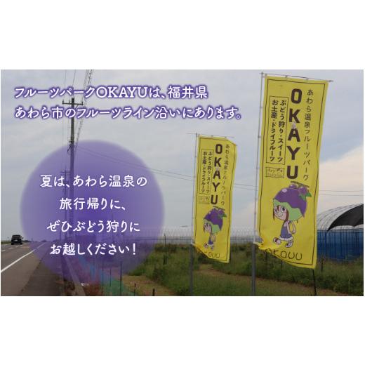 ふるさと納税 福井県 あわら市 8月特選 ぶどうセットL 1.7kg以上（3〜4房）／ 葡萄 シャインマスカット シャイン 品種 おまかせ あわら 農家おす…