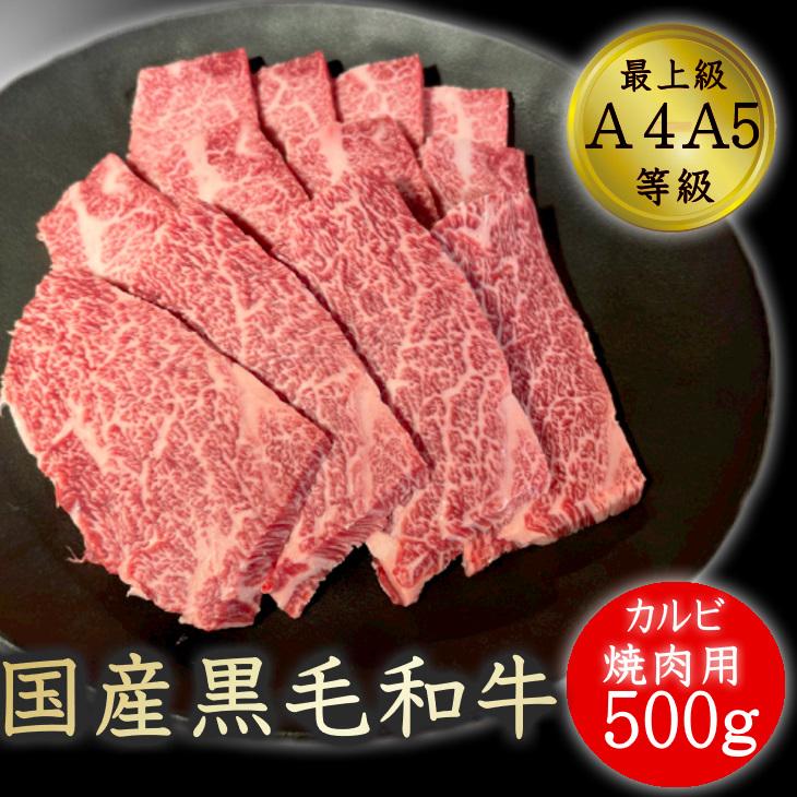 お歳暮 カルビ 焼肉 肉 和牛 牛肉 最上級A5A4等級 国産黒毛和牛 カルビ焼用500g 霜降カルビ 福島牛 上カルビ バーベキュー