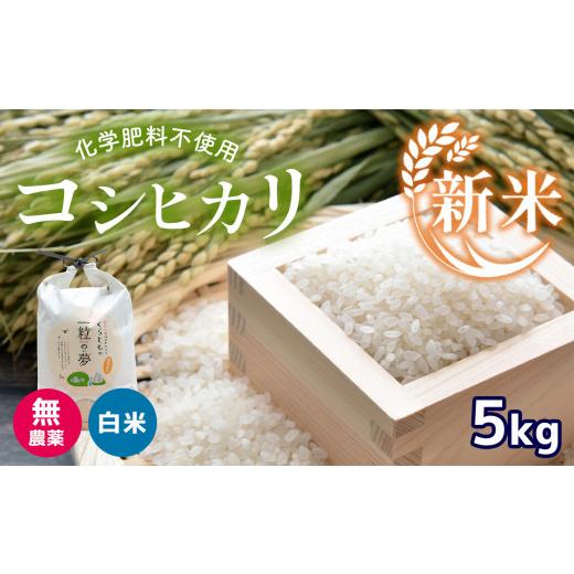 ふるさと納税 山口県 美祢市 無農薬・化学肥料不使用 コシヒカリ 5kg