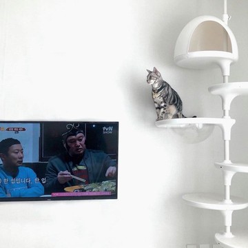 極地貓跳台配件區。350MM 加長桿