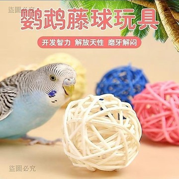 台灣現貨🎁天然藤球鸚鵡玩具 啃咬磨牙益智解悶  中小型鳥籠掛串 鍛鍊互動用品 鸚鵡玩具 3B89
