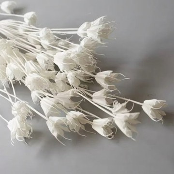 八角乾燥花 木百合 八角花 乾燥花 永生花 花束 插花 花材 居家裝飾 拍照道具 花藝材料 辦公室擺設 不雕花 乾燥花束