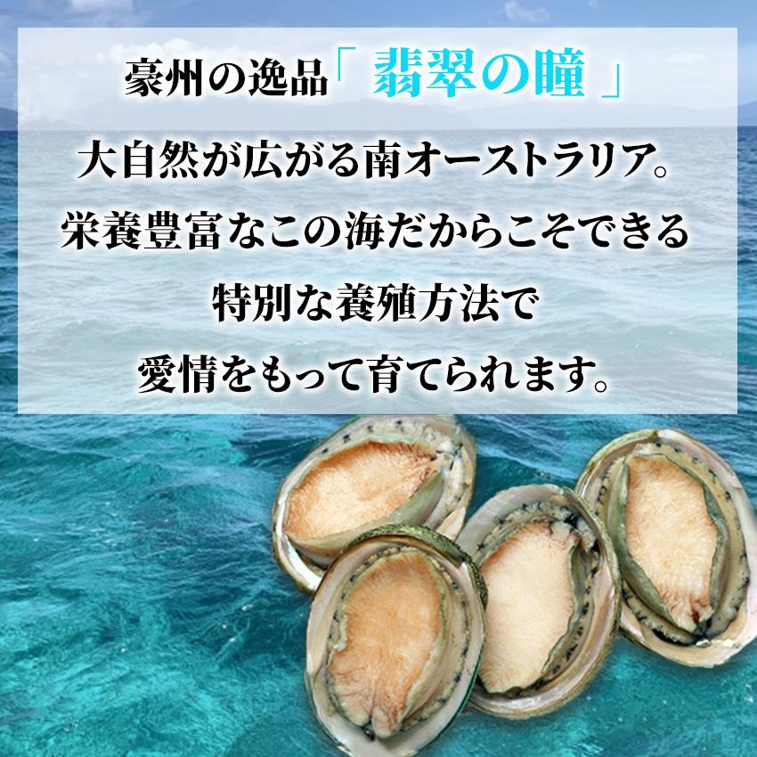 冷凍 生食可 あわび 翡翠の瞳 1kg 3Ｌ 8粒から9粒入 あわび 鮑 ステーキ 刺身 さしみ グリーンリップ 6400101099