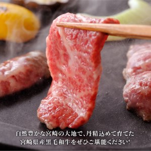 ※令和6年2月より順次発送※黒毛和牛5種盛り 焼肉セット（数量限定）600g 