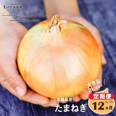 ふるさと納税 淡路市 淡路島たまねぎ 大きな2Lサイズ 5kg