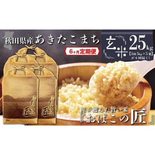 ふるさと納税 秋田県 大仙市 秋田県産おばこの匠あきたこまち　25kg （5kg×5袋）玄米