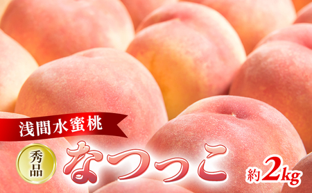 2024年発送 先行予約 浅間水蜜桃 みつおかの もも なつっこ 秀品 約2kg 5～9玉