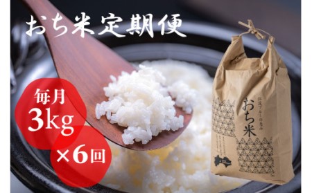 （新米）「おち米」定期便　(3kg × 6回)　産直　白米