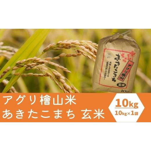 ふるさと納税 秋田県 能代市 秋田県産 あきたこまち 10kg アグリ檜山米 令和5年産