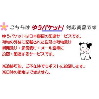 送料無料 メール便 博多めんたい海苔 袋詰(10切20枚) お試し5袋セット 味付けのり おつまみ ゆうパケット