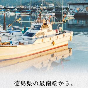 ふるさと納税 急速冷凍！アオリイカ入り鮮魚セット（4〜5種） 徳島県海陽町