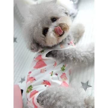 寵物小型犬泰迪狗狗衣服純棉絕育衣夏天春秋薄款睡衣家居服包肚子