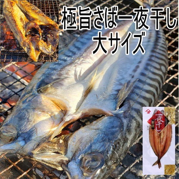 極旨サバ一夜干し お買い得２尾セット 北海道広尾町加工 大サイズ さば干物