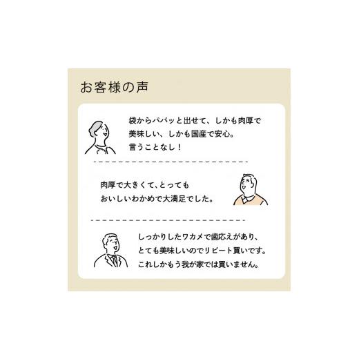 ふるさと納税 岩手県 大船渡市  三陸わかめ カットわかめ 三陸産 20g×7袋 乾燥わかめ 岩手県産 国産 常温 年末 年末年始