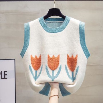 圓領針織馬甲背心女2025春秋新款寬松外穿馬夾外搭加厚毛衣坎肩潮