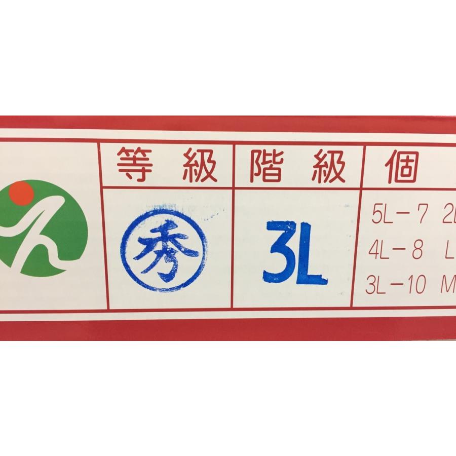 お歳暮　紅まどんな 愛媛産 ３Ｌまたは４Ｌサイズ 秀品