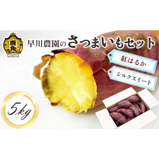 ふるさと納税 秋田県 鹿角市 秋田県鹿角産 さつまいも「シルクスイート＆紅はるか」MIX 約5kg　サツマイモ 焼き芋 詰め合わせ セット 芋 …