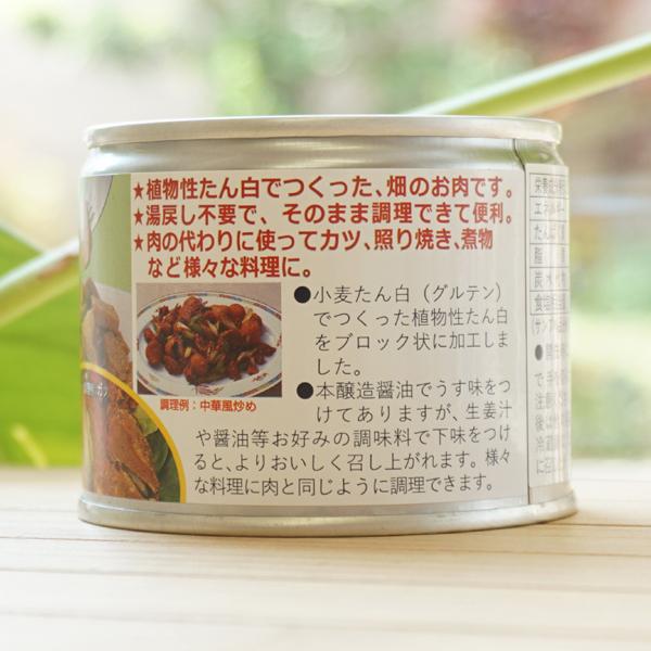 オーサワそのまま使えるベジミート 穀物で作った畑の肉 (ブロックタイプ) 200g　for Vegan