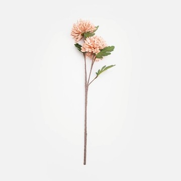 Flora芙蘿拉花插牡丹球菊70cm 粉