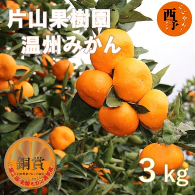 とびっきりの愛媛片山果樹園　温州みかん3kg(家庭用大小混合)