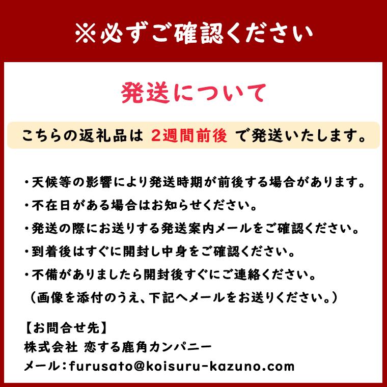 お歳暮 (6)秋田名物 きりたんぽ鍋セット (4〜5人前) 冷凍・野菜無し 御歳暮 鍋 冬 年末 年始 ギフト パーティー 秋田 郷土料理